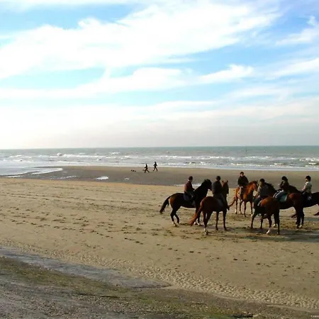 In Belgium With Sea View *