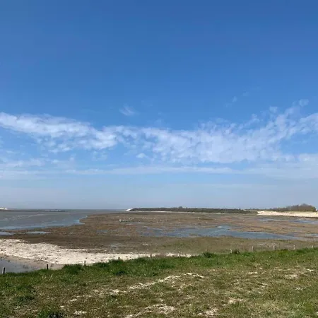 In Belgium With Sea View