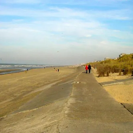 In Belgium With Sea View 公寓 *