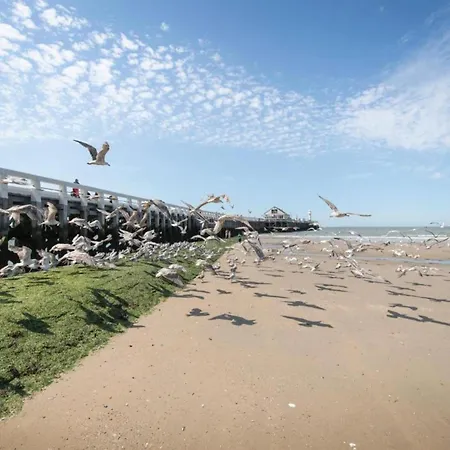 Διαμέρισμα In Belgium With Sea View