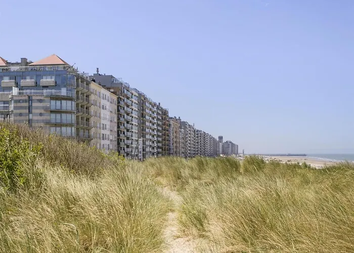 Apartament In Belgium With Sea View