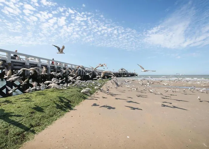 Apartament In Belgium With Sea View